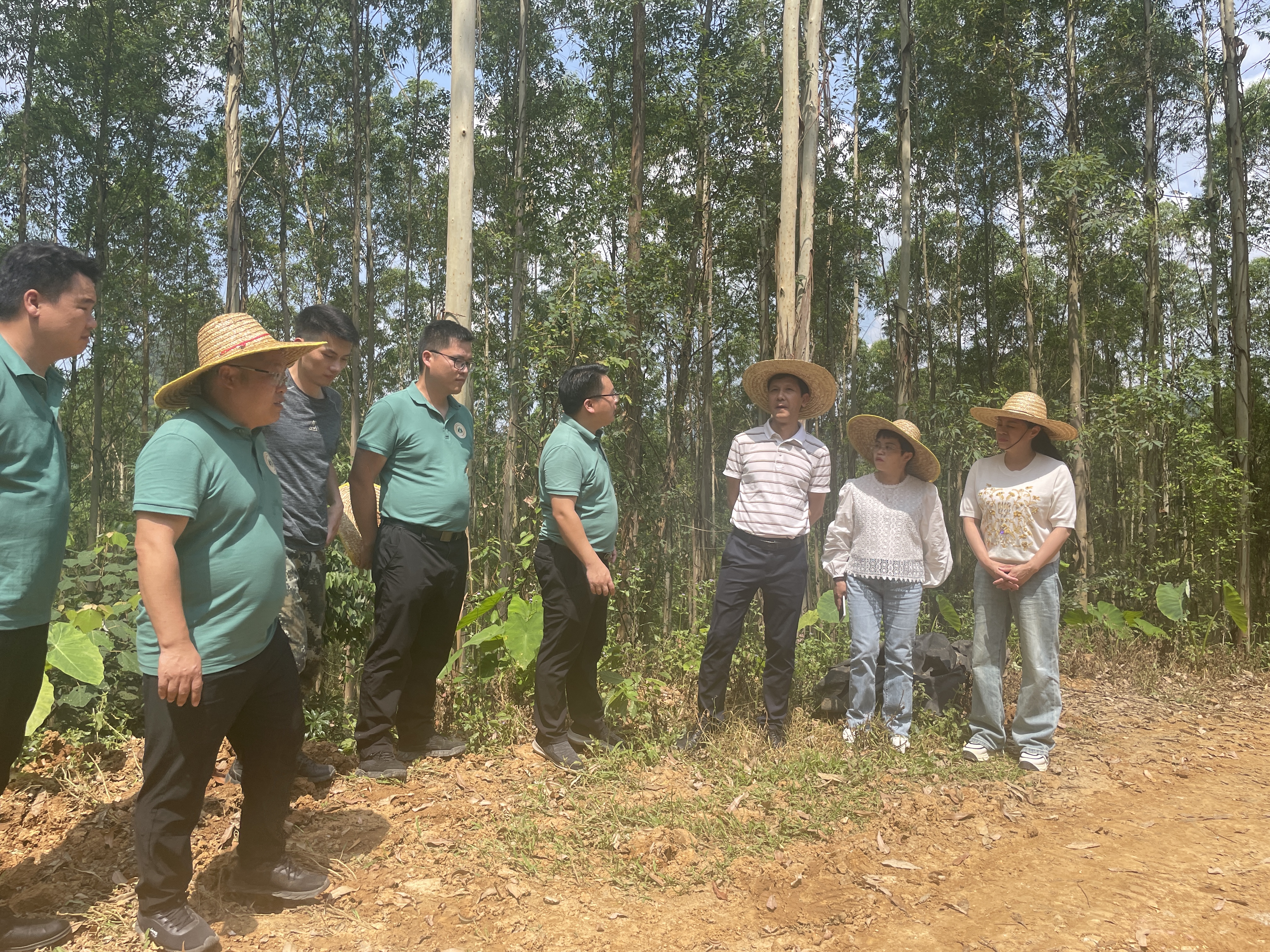 怀集县桥头镇六竹村调研收购林地情况（拍摄者：肇鼎储备林公司  谢仕锦）