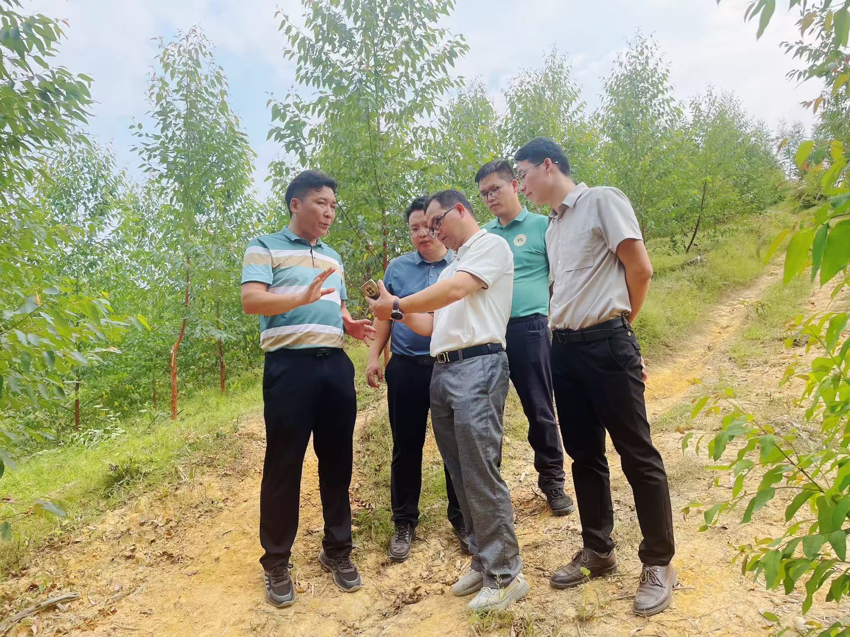 图2 三门江林场场长韦宏（右二）调研封开县南丰镇九盘村新造林地查看林地航拍图及轨迹