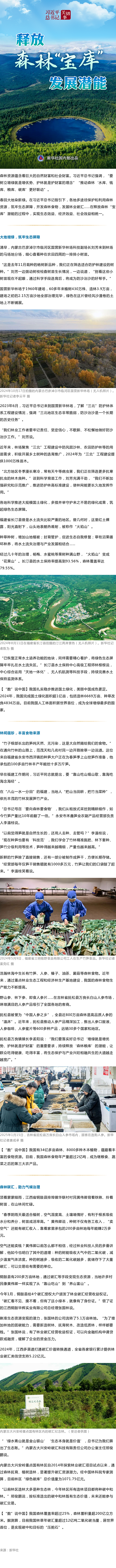 习近平总书记关切事｜释放森林“宝库”发展潜能