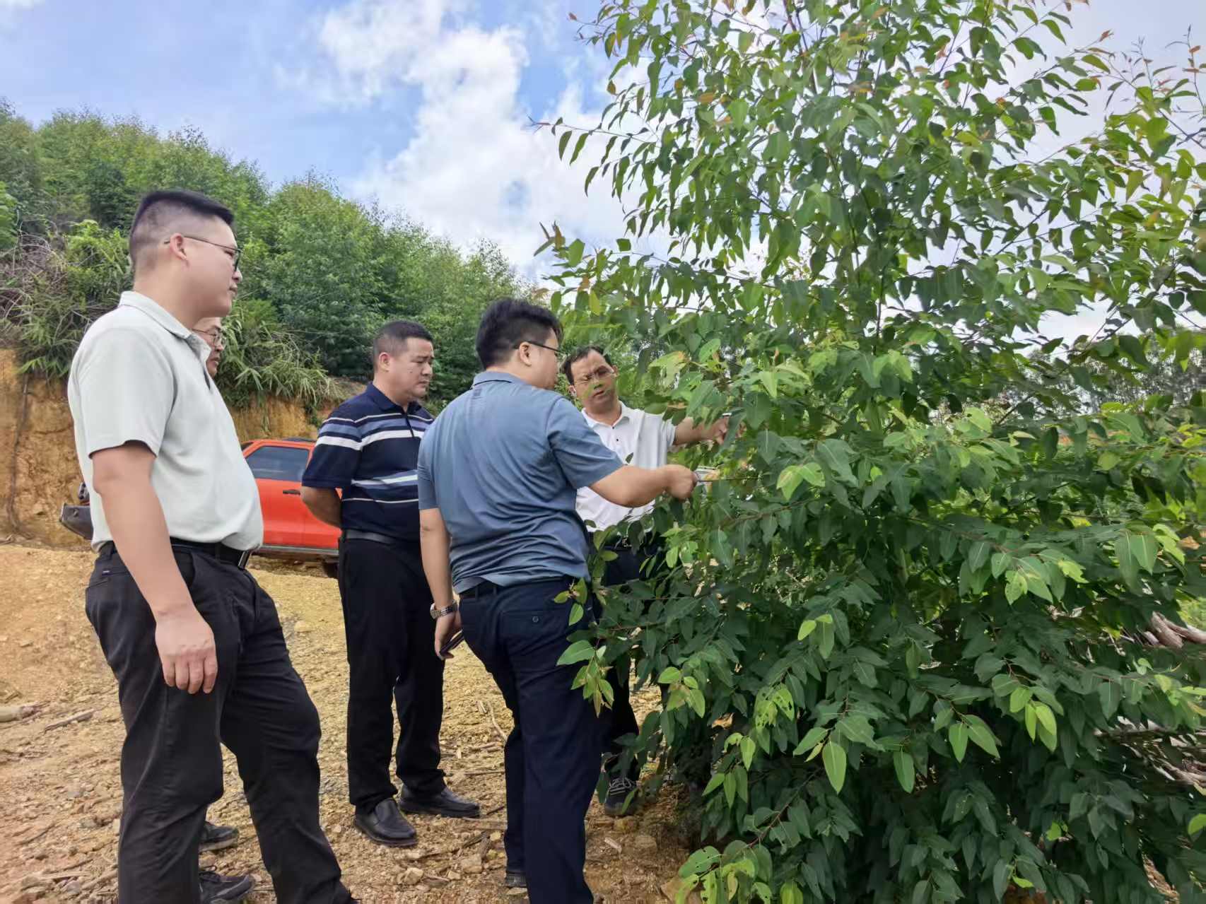 2e5cd11d9de14c3fb884b3c4ab2616c8