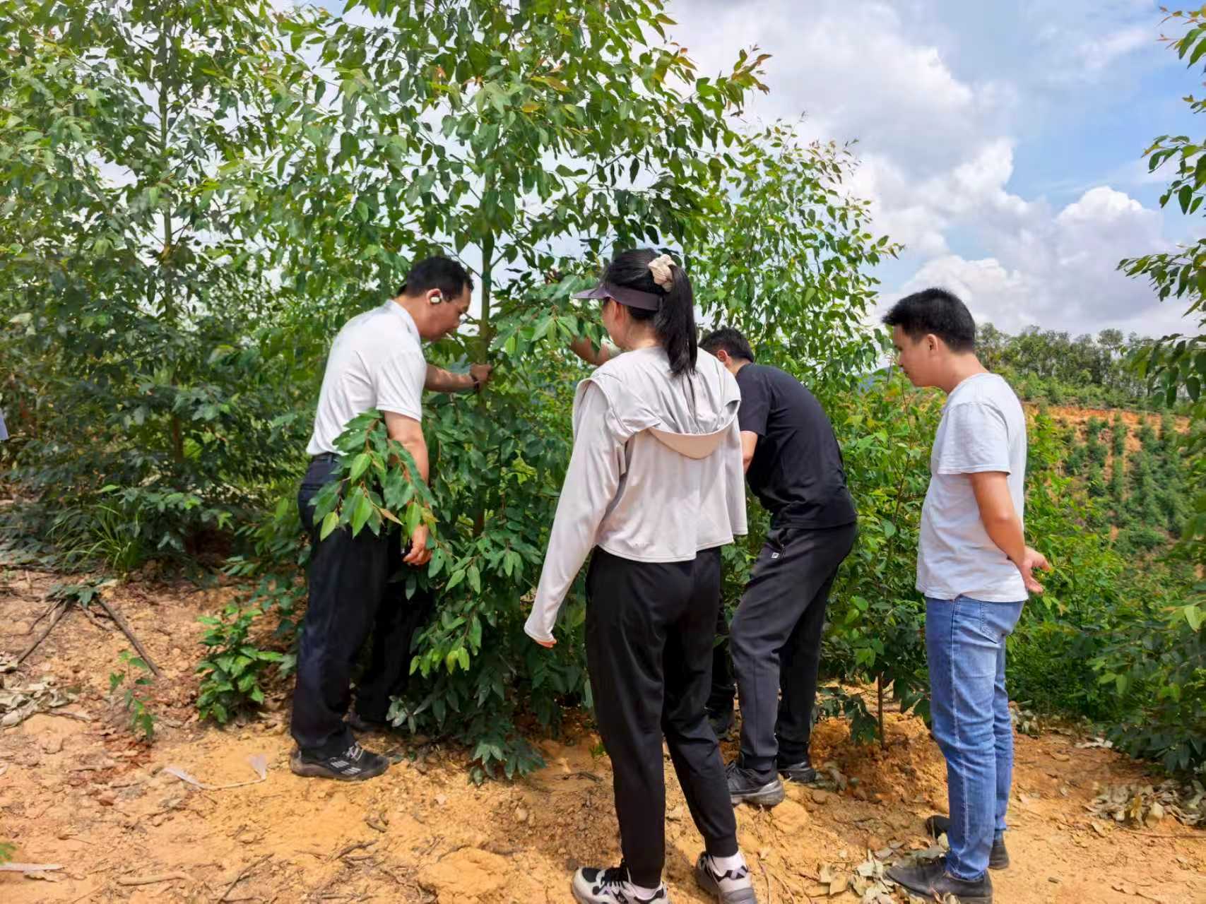 d02729035a50f4e4d6d362c7dfa4effe