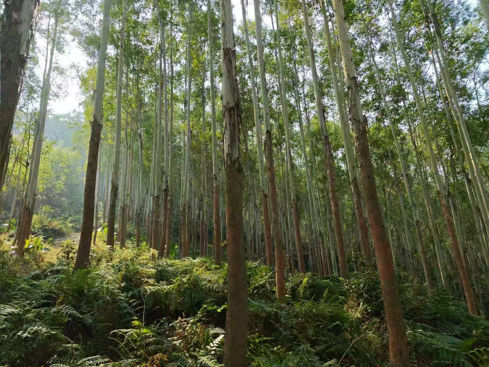 05c33ced1c1ec79a917e3e1eed2aeb63