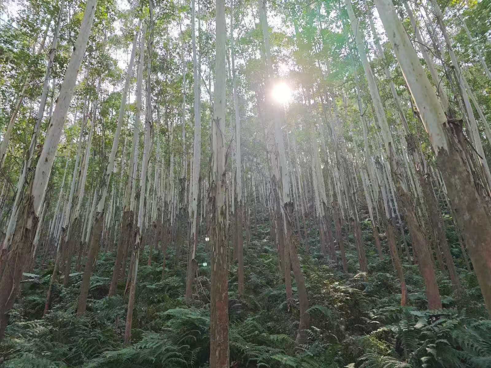 4fa669cffdb1e8d8f59f645f46b9f51d