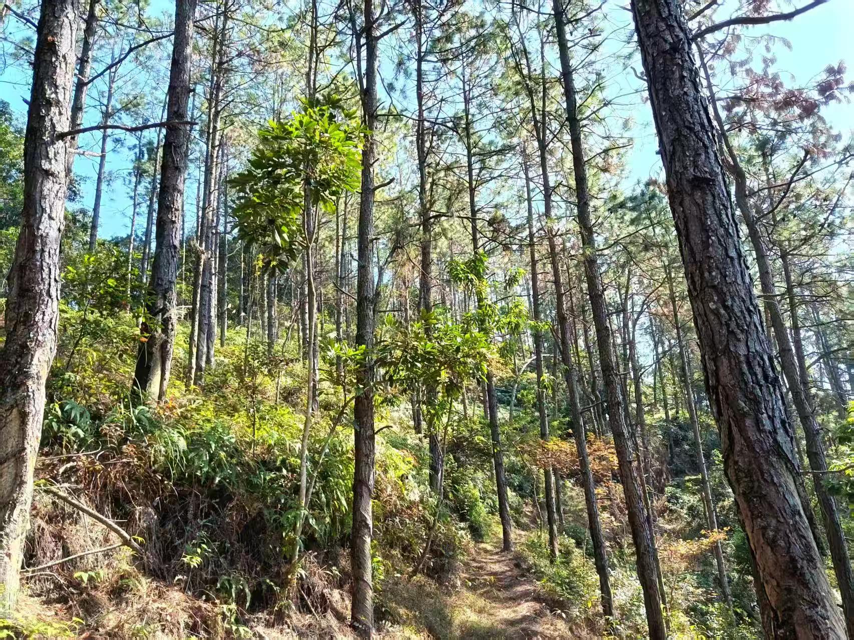 4f9b10c24cbf81d4759a646a2cc64a38