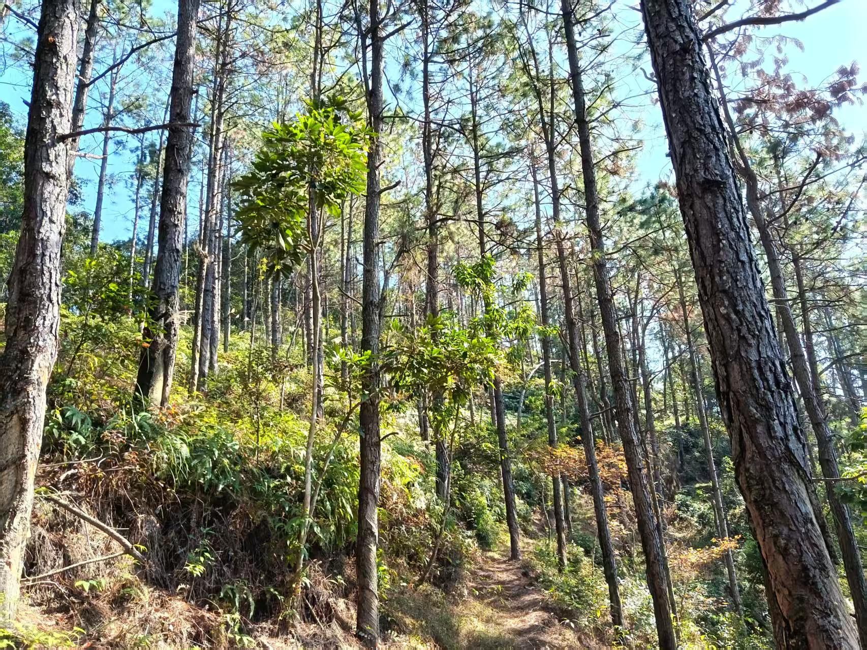 553f5958d7d45cfe7a525e90a1332a2c