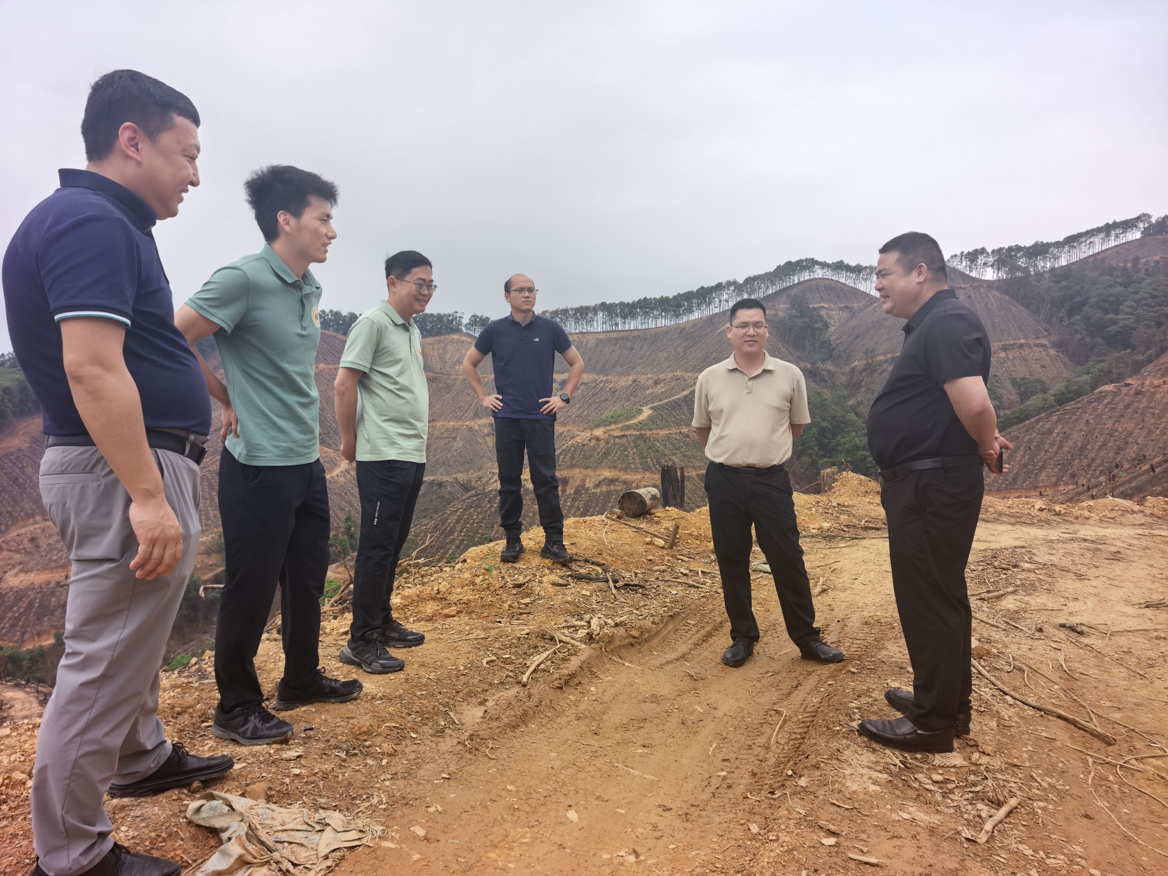 在广东封开县江口镇封川村（国合六角林场）林地，调研新造林定植成效