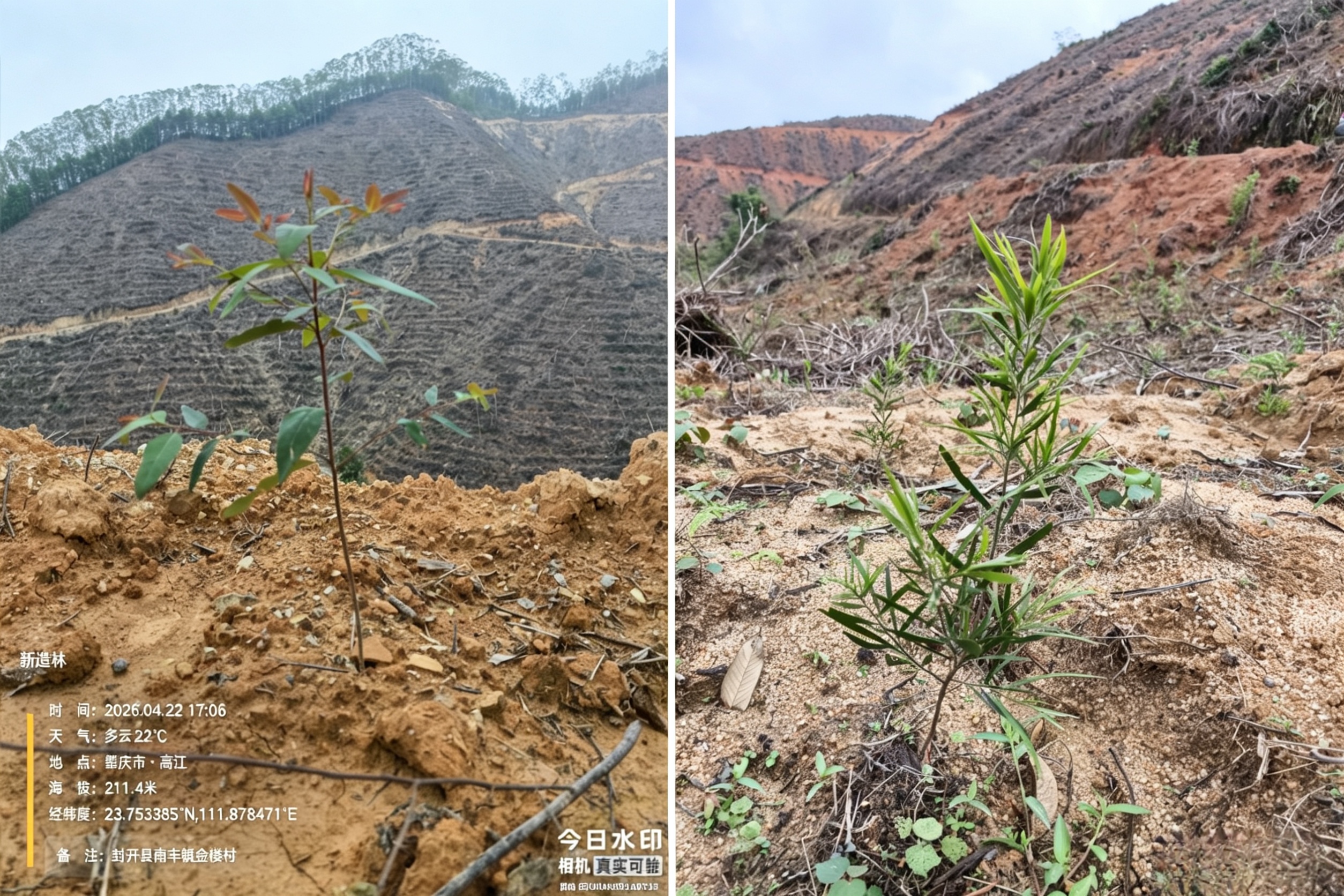 微信图片_20260424164015_486_13